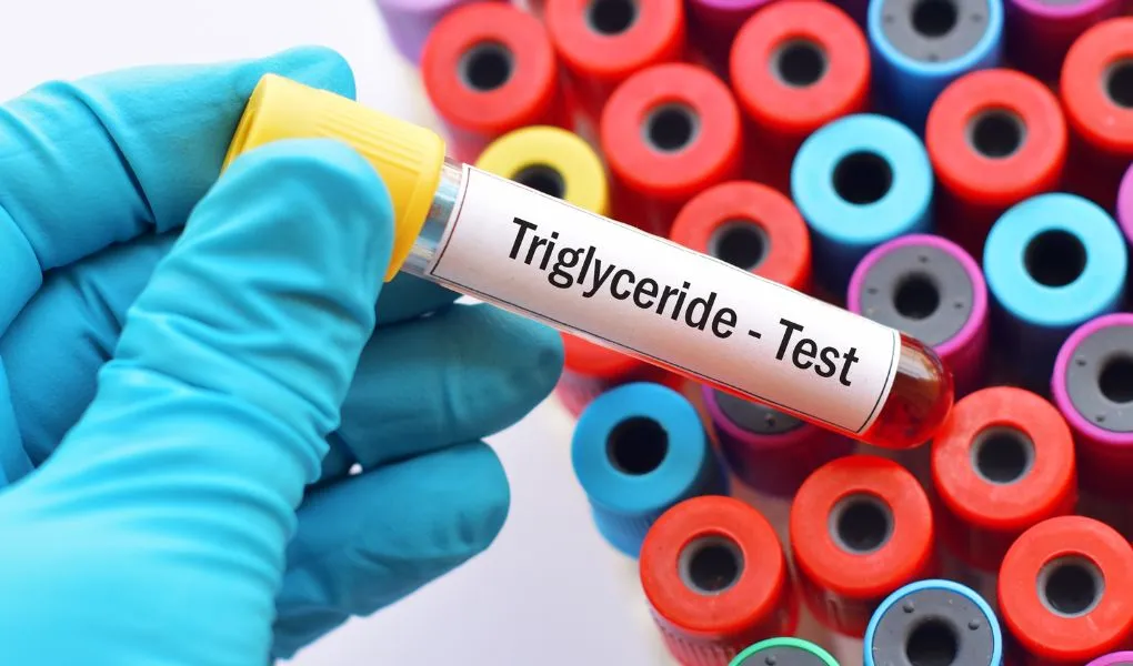 triglycérides