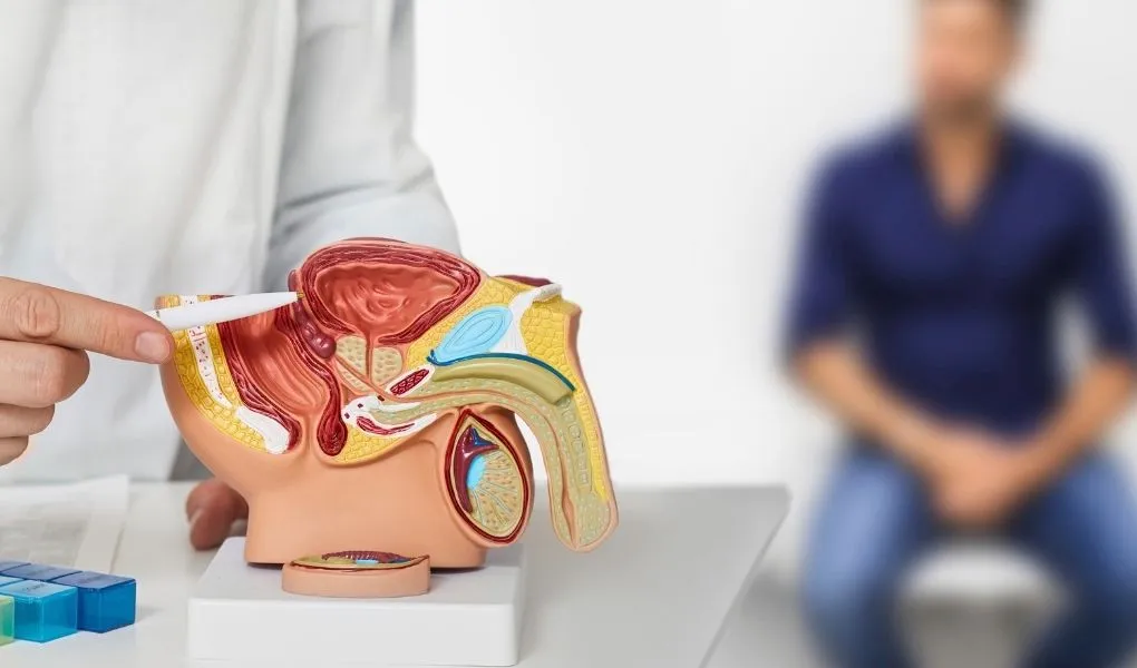 problèmes de prostate